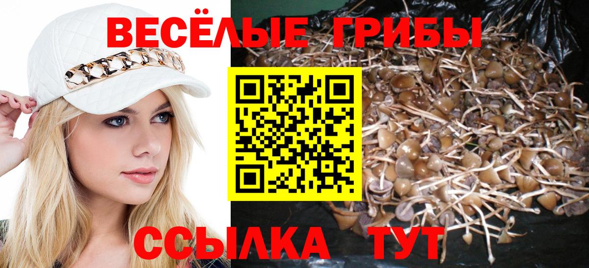 Углич  Псилоцибиновые грибы Cubensis  Вход с VPN 
